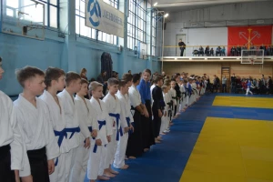 aikido aikijujutsu 1